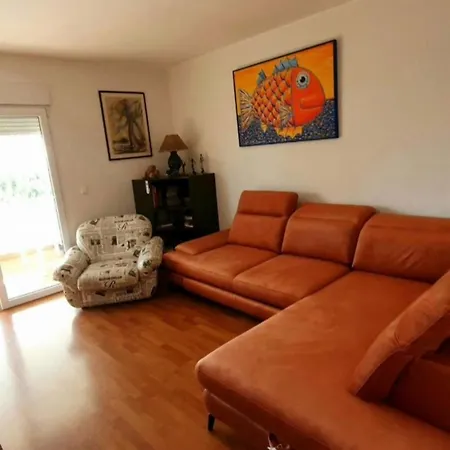 Apartment Mate,s Split